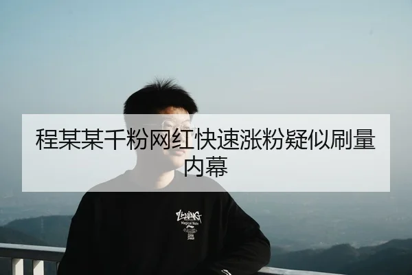 程某某千粉网红快速涨粉疑似刷量内幕